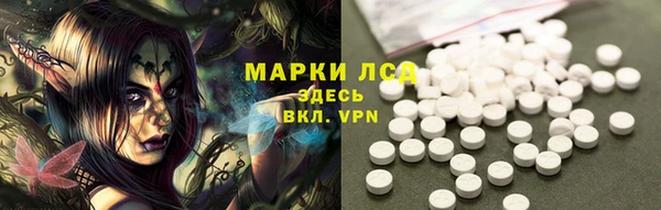 гашик Инта