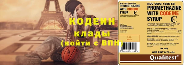 гашик Инта