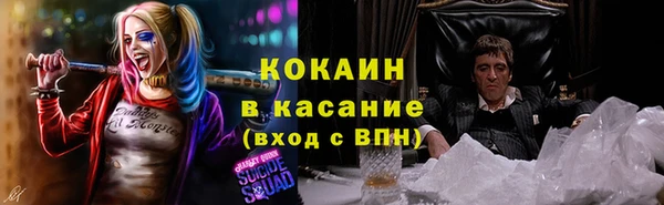 гашик Инта
