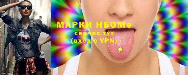 гашик Инта