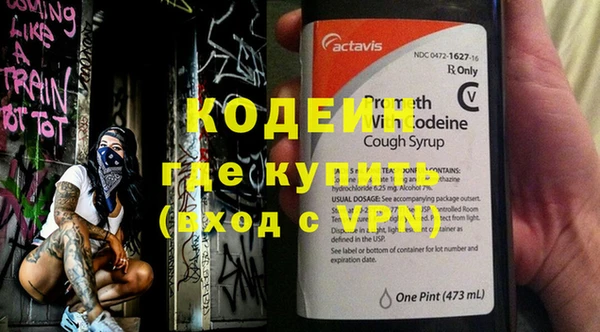 сатива Иннополис