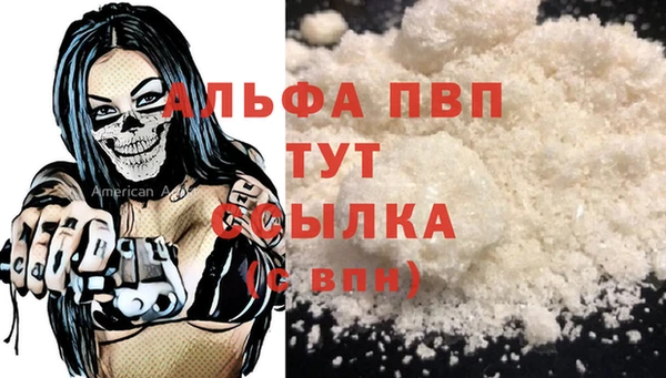 гашик Инта
