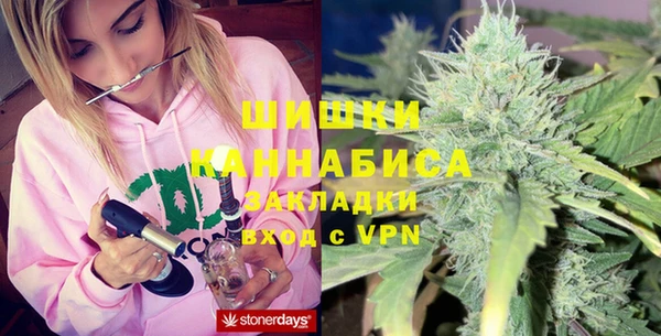 сатива Иннополис