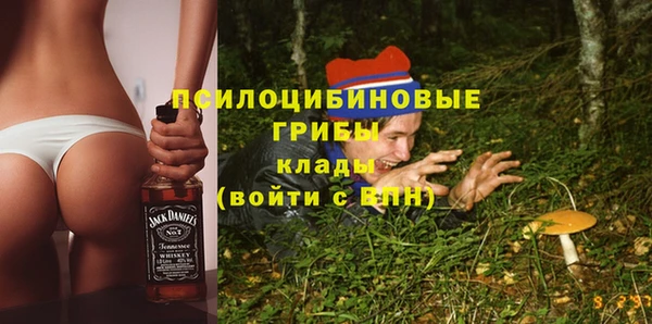сатива Иннополис