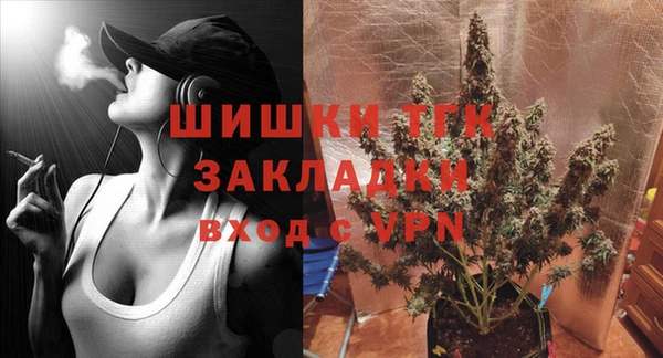 сатива Иннополис
