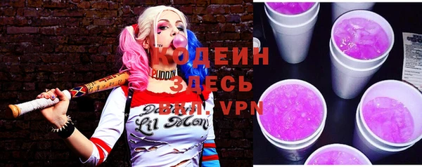 сатива Иннополис