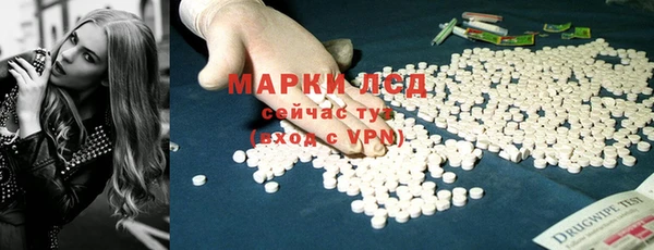 сатива Иннополис