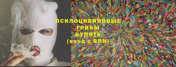 гашик Инта